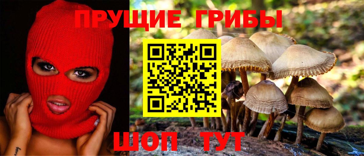 Галлюциногенные грибы Magic Shrooms  Вход с VPN  Кулебаки 