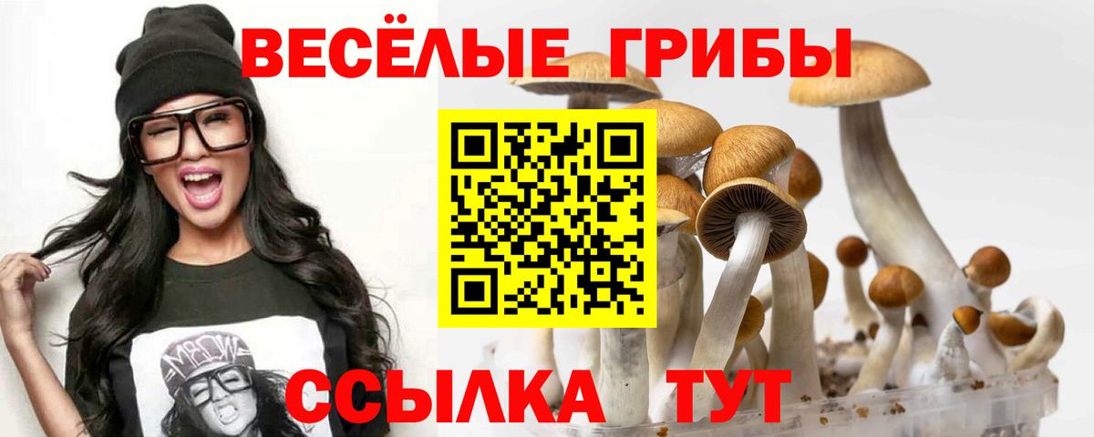 Псилоцибиновые грибы GOLDEN TEACHER Кулебаки